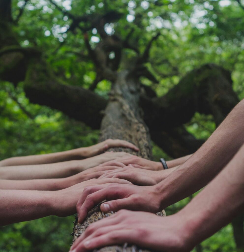 Hello World Featured Image